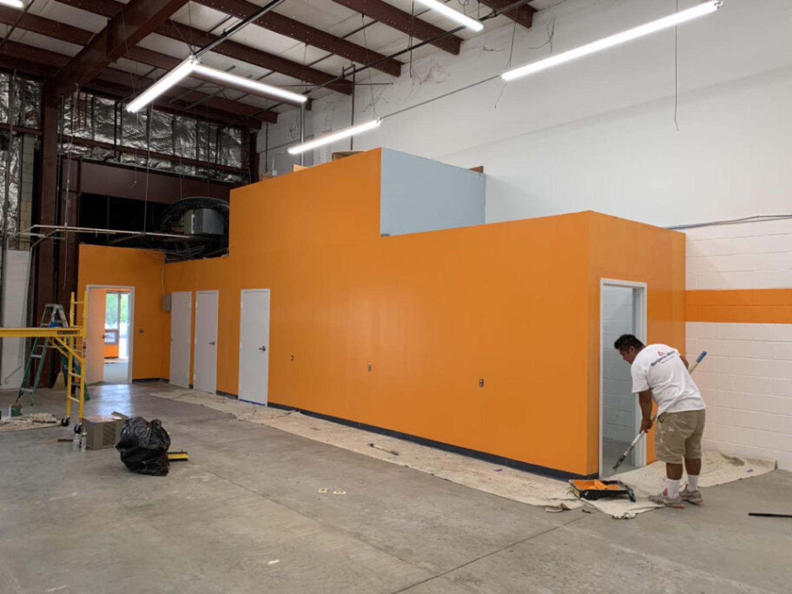 Professional painting in Edison